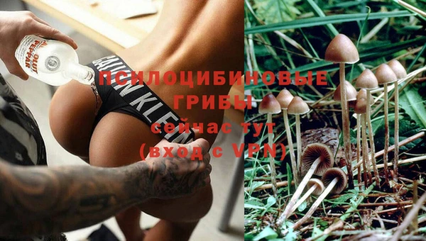 твердый Верея