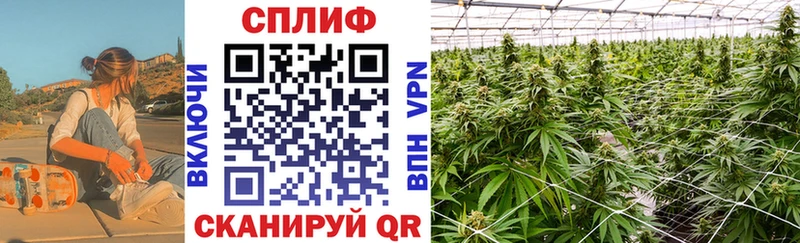 Марихуана Bruce Banner  где можно купить   Кочубеевское 